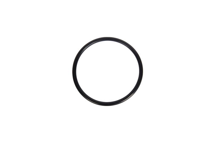 THROTTLE GASKET - OEM 8200068566