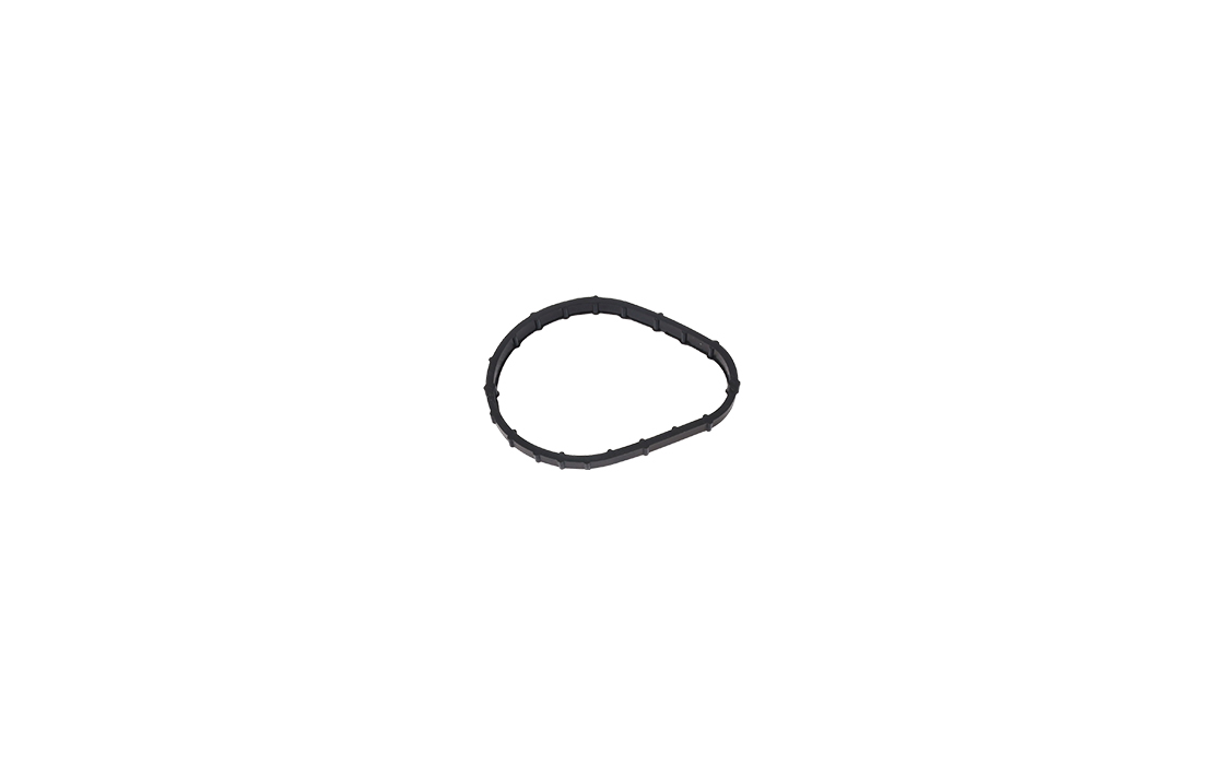 THERMOSTAT BODY GASKET - OEM 7701040923