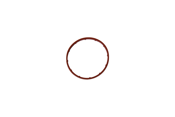 VACUUM PUMP SEAL - OEM 4556.16