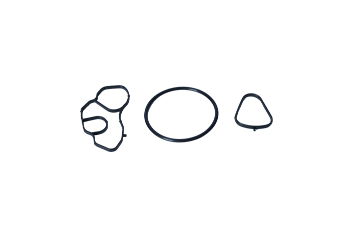 OIL FILTER GASKET - OEM 1613571980