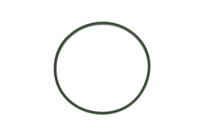 FUEL TANK GASKET - OEM 1254280