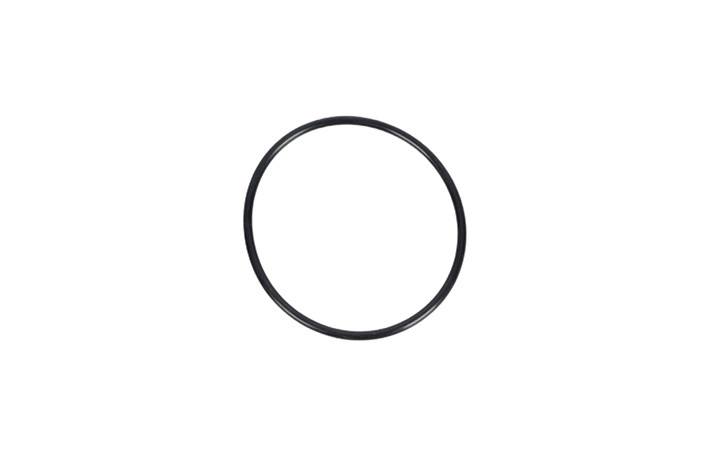 FUEL TANK GASKET - OEM 1254286