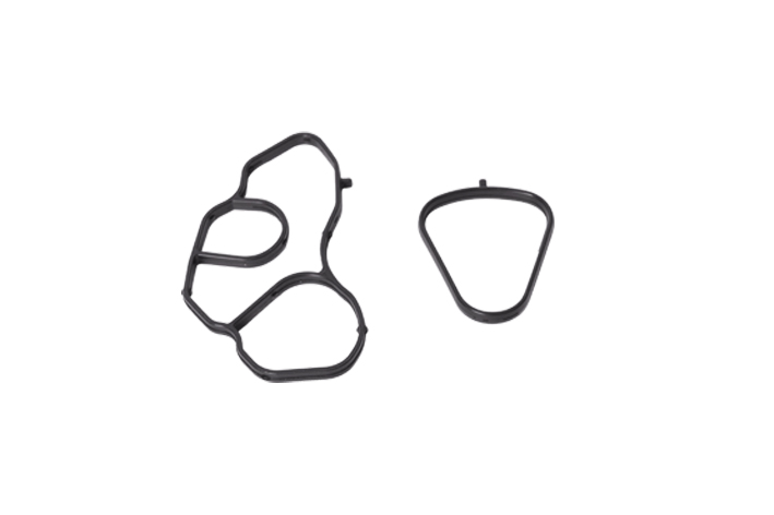 OIL FILTER GASKET - OEM 11428643758