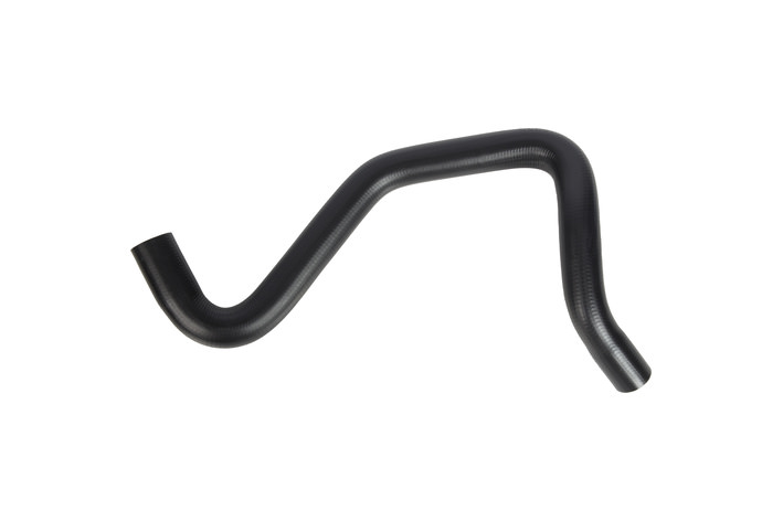 RADIATOR LOWER HOSE - 6001548464