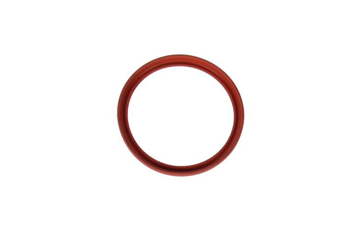 TURBO PIPE GASKET - 7701071156