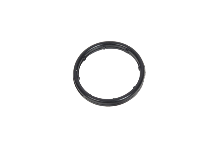 OIL COOLING PIPE GASKET - 5650974 - GM - 55556547
