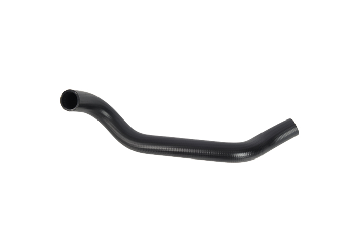 RADIATOR LOWER HOSE - 2541222050