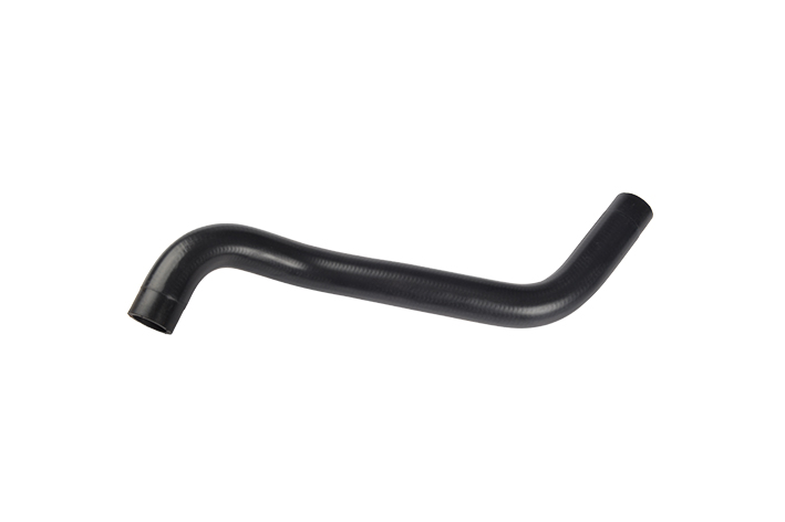 RADIATOR LOWER HOSE - 2541225100