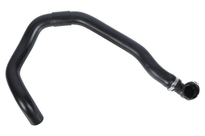 RADIATOR OUTLET HOSE - 254124P200