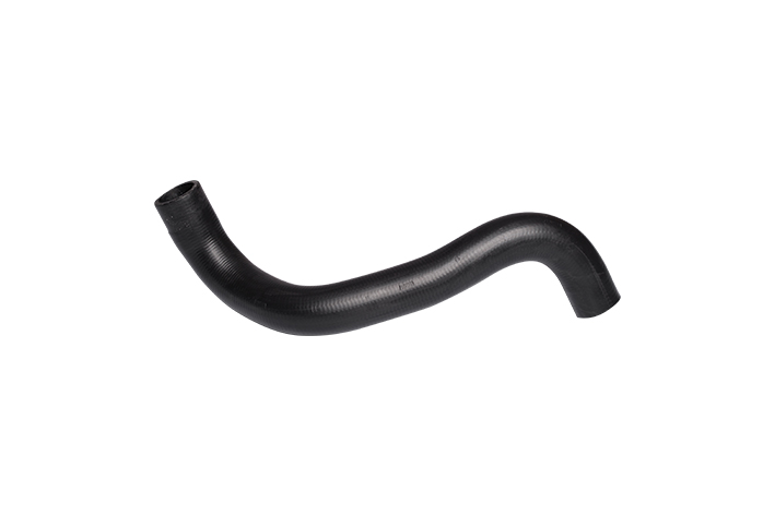 RADIATOR OUTLET HOSE - 254122R600