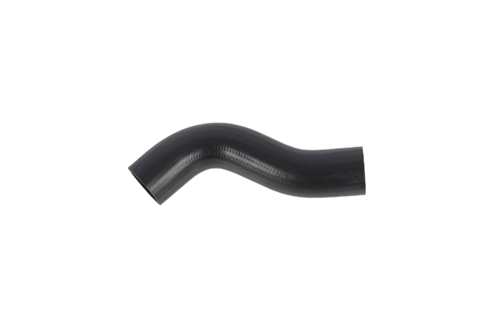 FUEL TANK HOSE - 310361J000