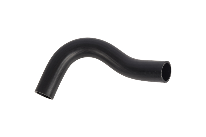 RADIATOR LOWER HOSE - O62015185YE